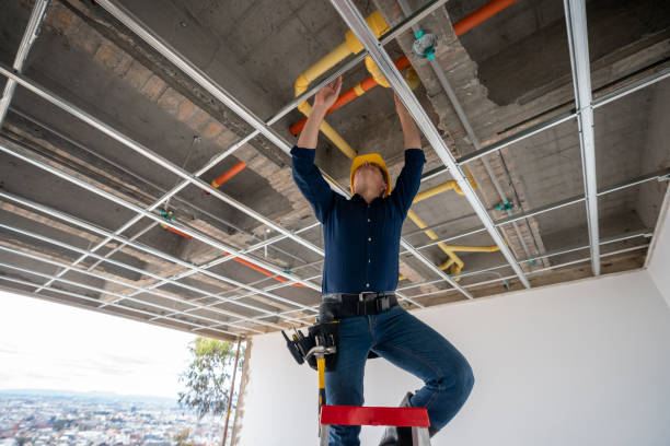 Best Best Plumbers Near Me  in Falcon Heights, MN