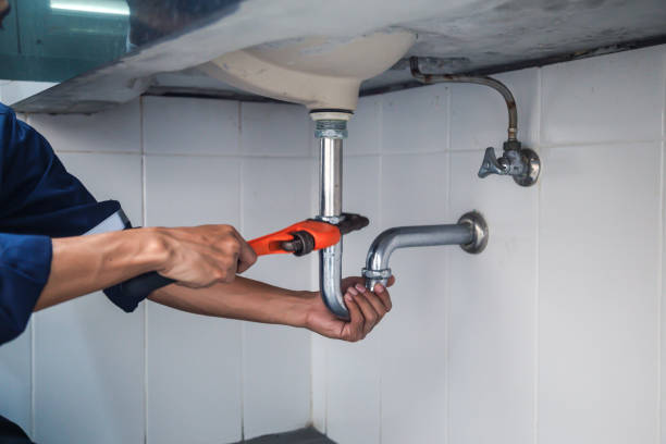 Best Leak Detection Services  in Falcon Heights, MN