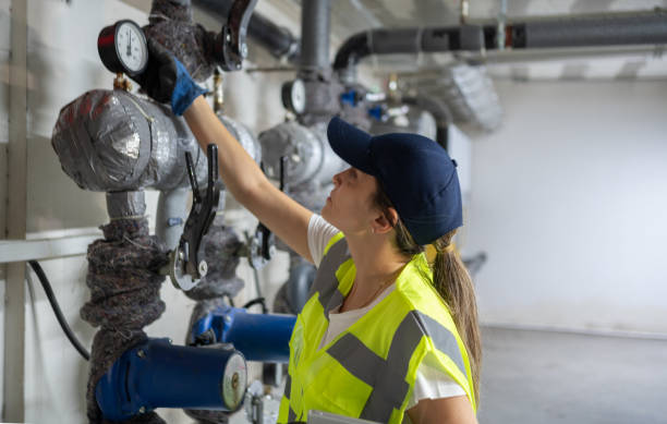 Best Affordable Plumbing Services  in Falcon Heights, MN