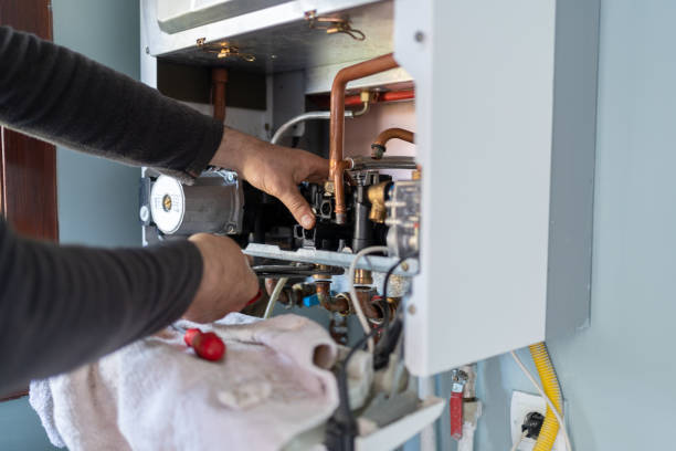 Best Local Plumber Services  in Falcon Heights, MN