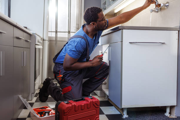 Best Septic Systems  in Falcon Heights, MN
